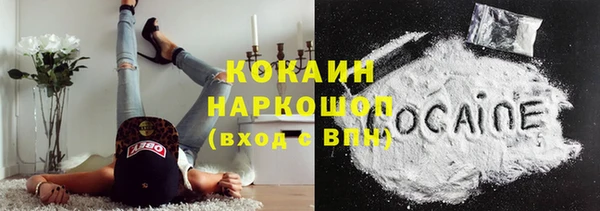 молекула духа Арсеньев