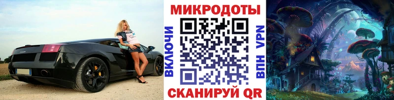 Псилоцибиновые грибы Psilocybe  OMG ссылки  Тутаев 